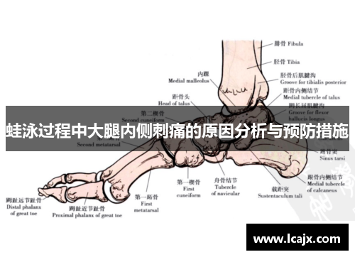 蛙泳过程中大腿内侧刺痛的原因分析与预防措施